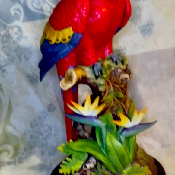 Red Macaw - Picture 3 of 3